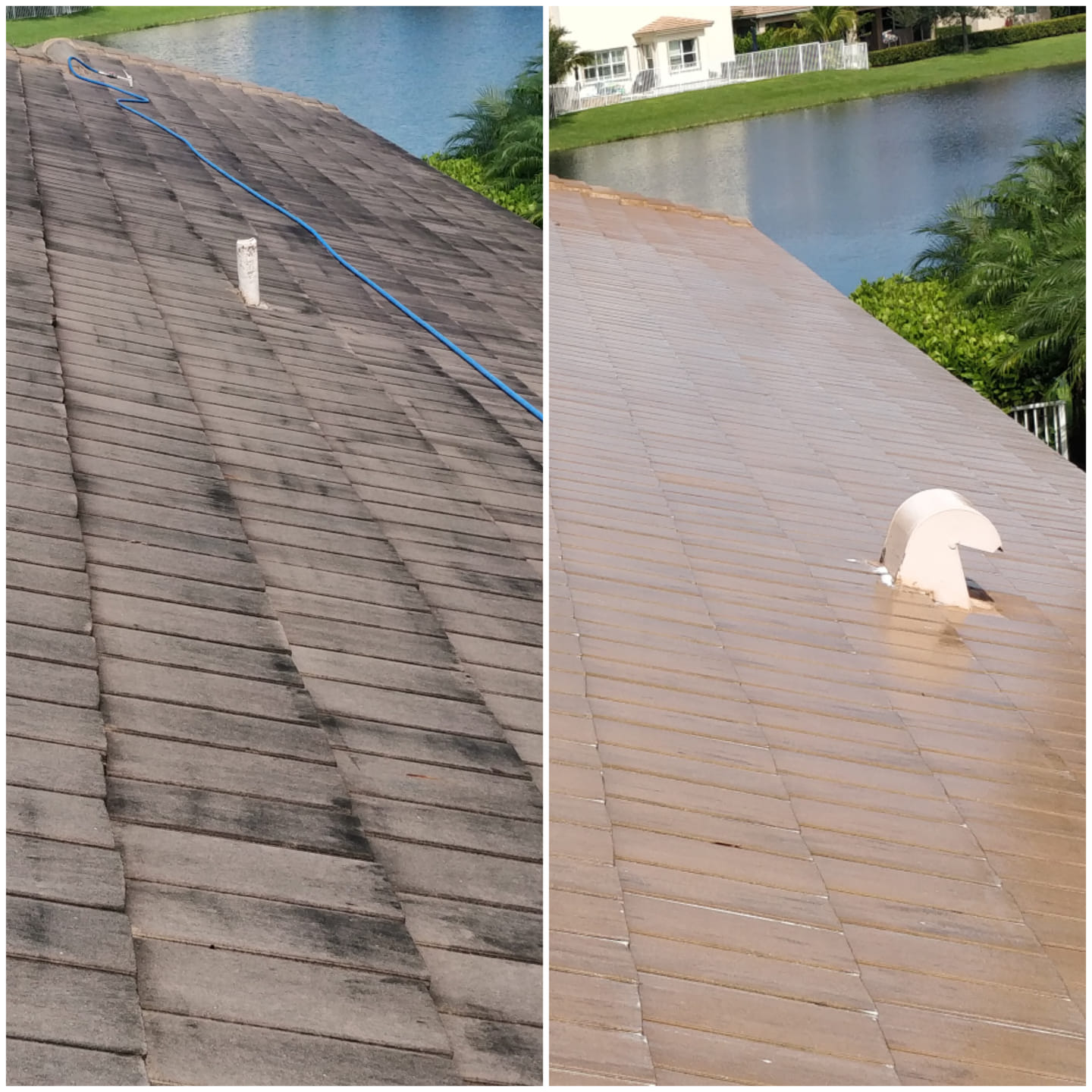 Roof Mildew Cleaning